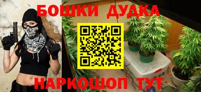 PSILOCYBIN Можга