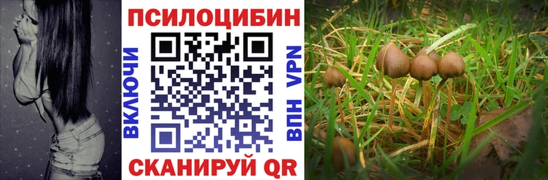 Псилоцибиновые грибы Psilocybine cubensis  blacksprut ссылки  Черемхово 