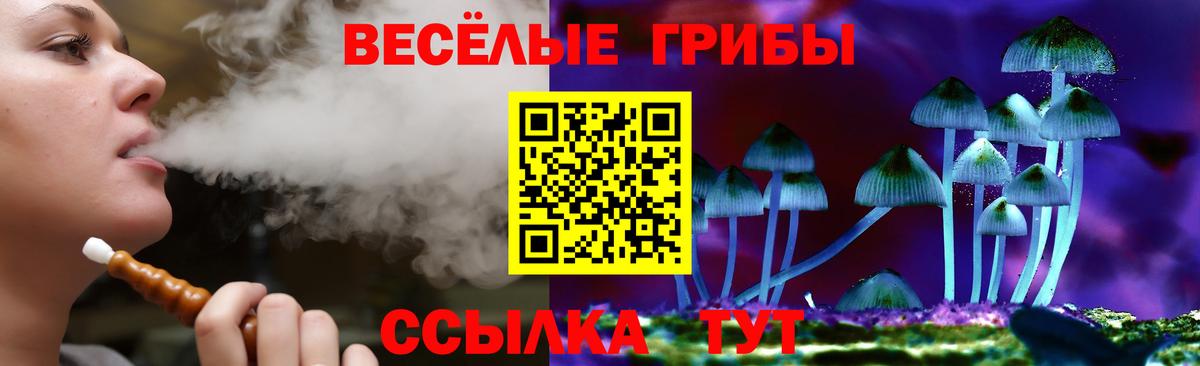 Галлюциногенные грибы Cubensis  купить наркотик  Черемхово  Вход с VPN 